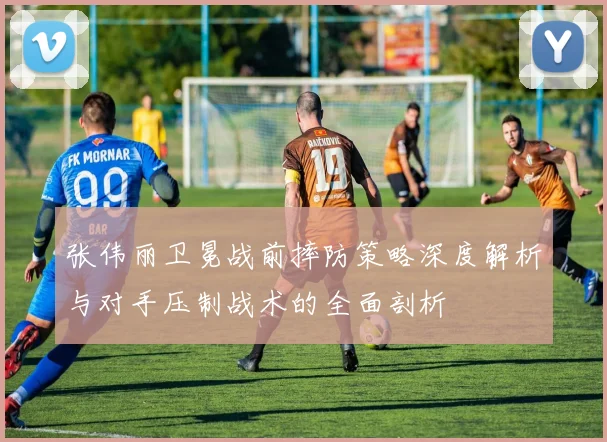 张伟丽卫冕战前摔防策略深度解析与对手压制战术的全面剖析